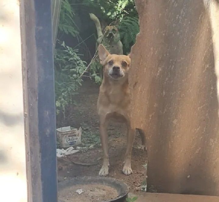 Foto: Divulgação/ Polícia Civil