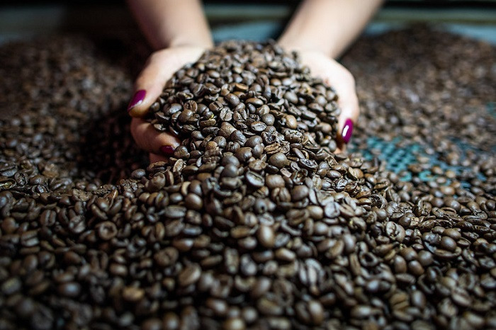 Produção de café no Brasil deve crescer 2,7% em 2025 e alcançar 55,7 milhões de sacas