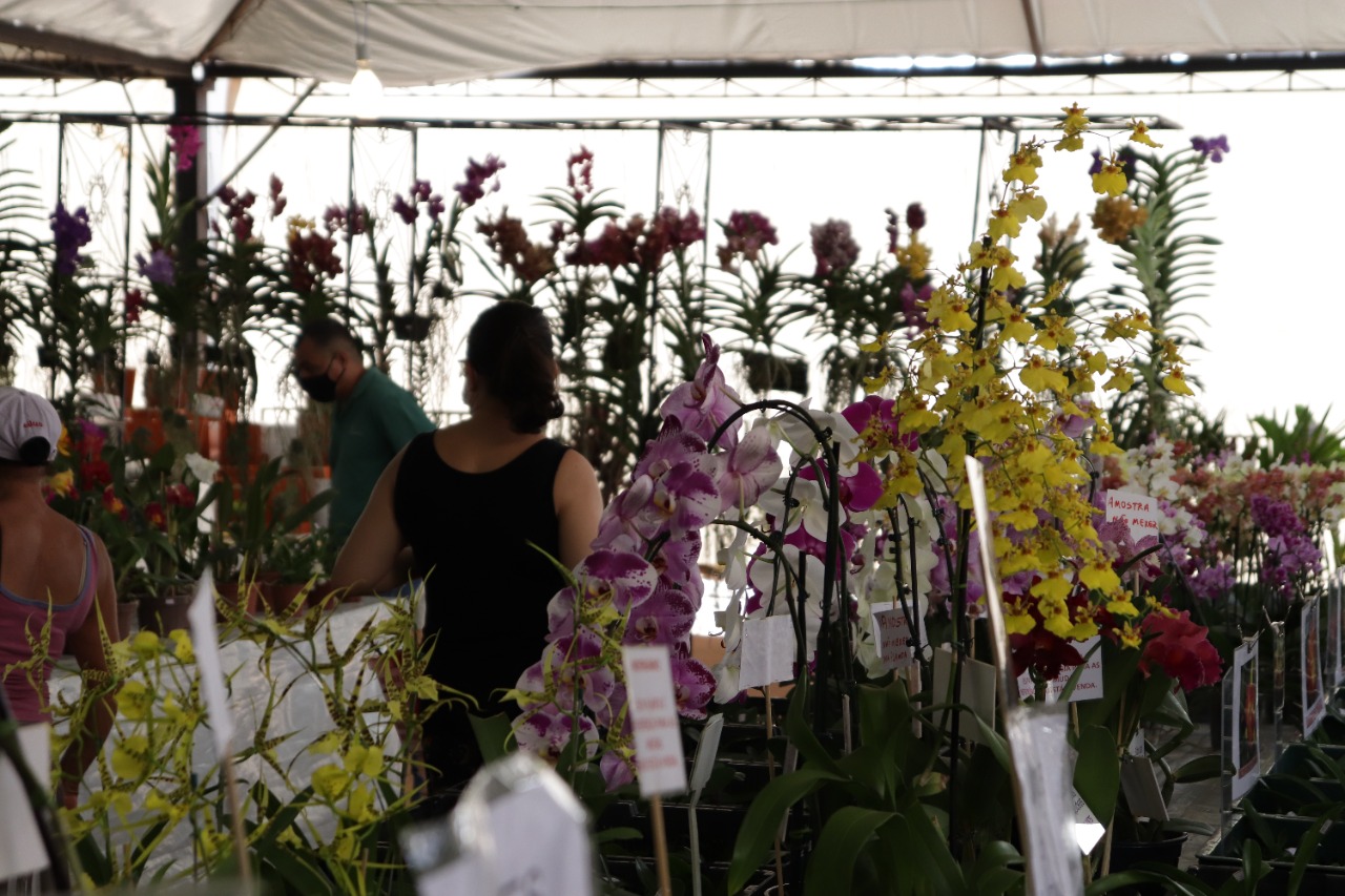 Foto: Prefeitura de Dourados