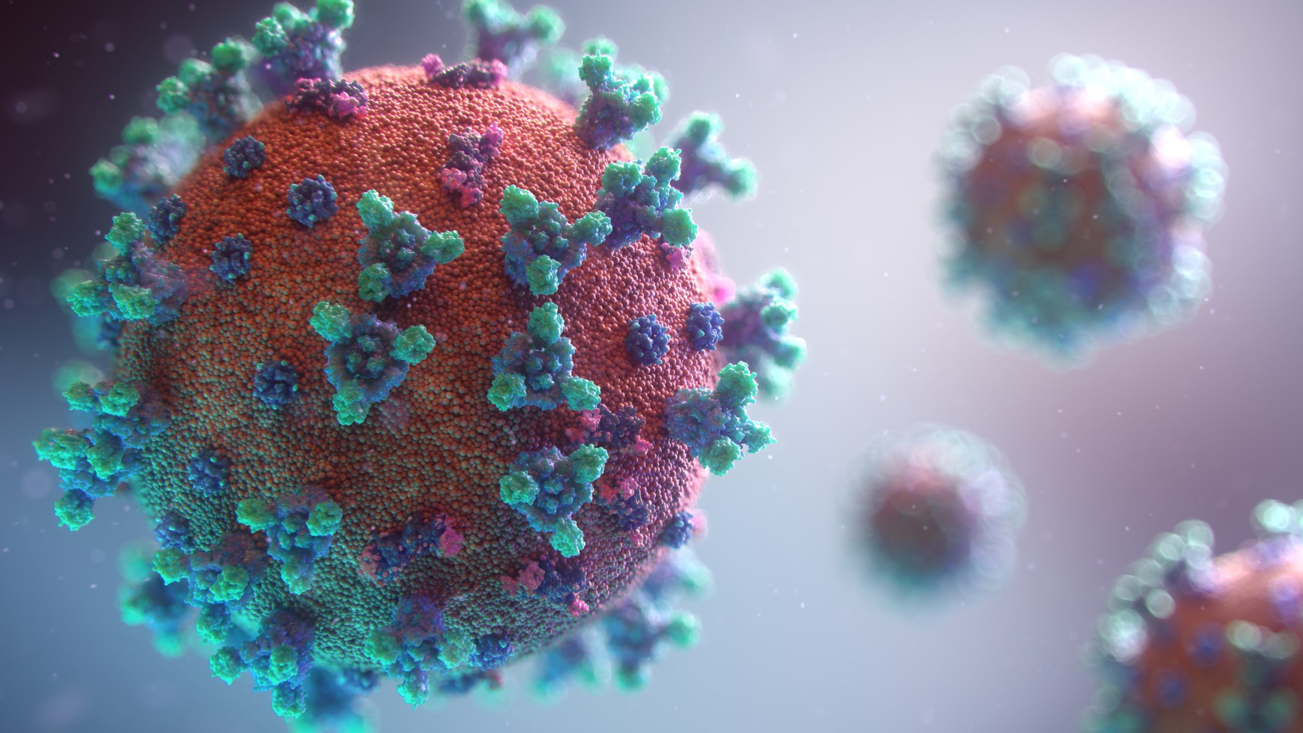coronavirus covid-19 pandemia virus viral