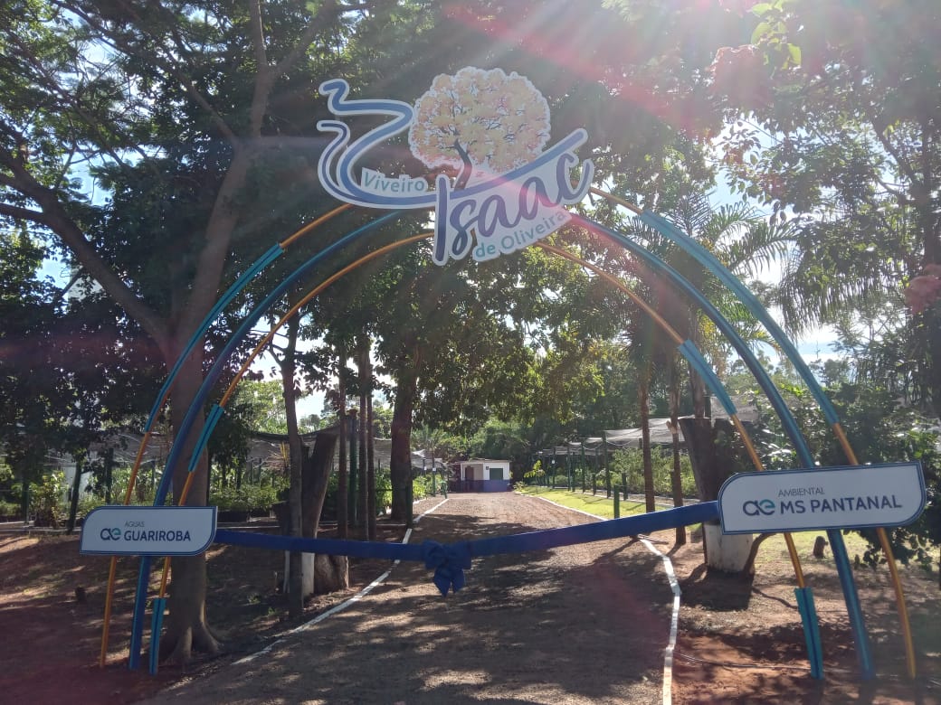 Fotos: Itamar Buzzatta / O Estado Online