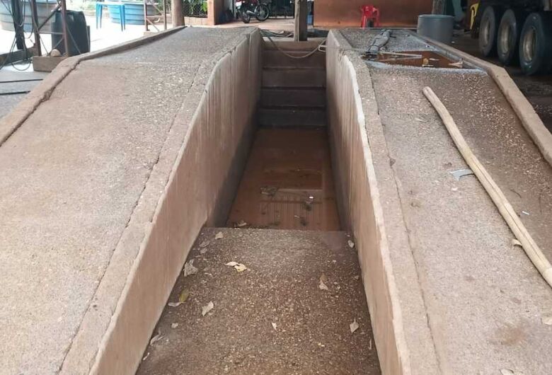 Foto: Divulgação/ PMA MS