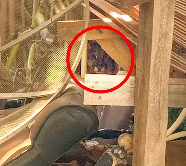 Foto: Divulgação/ Corpo de Bombeiros.