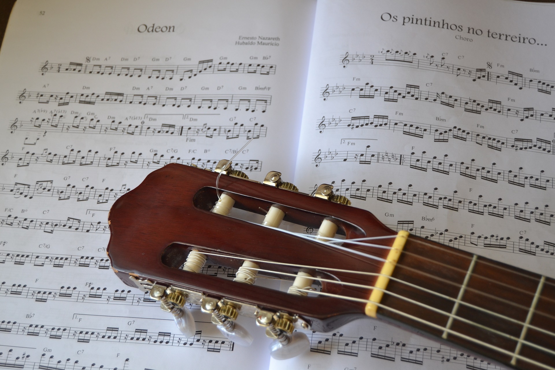 Foto: Fernando Neves