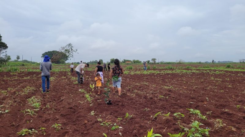 Fotos: Pref de Dourados