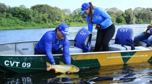 pesca esportiva pesque solte rios afluente turismo