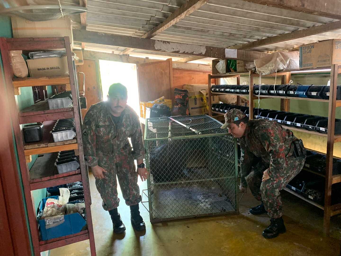 Foto: Divulgação/PMA