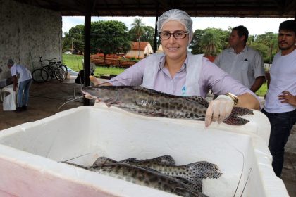 Foto: Divulgação/ Prefeitura de Três Lagoas.