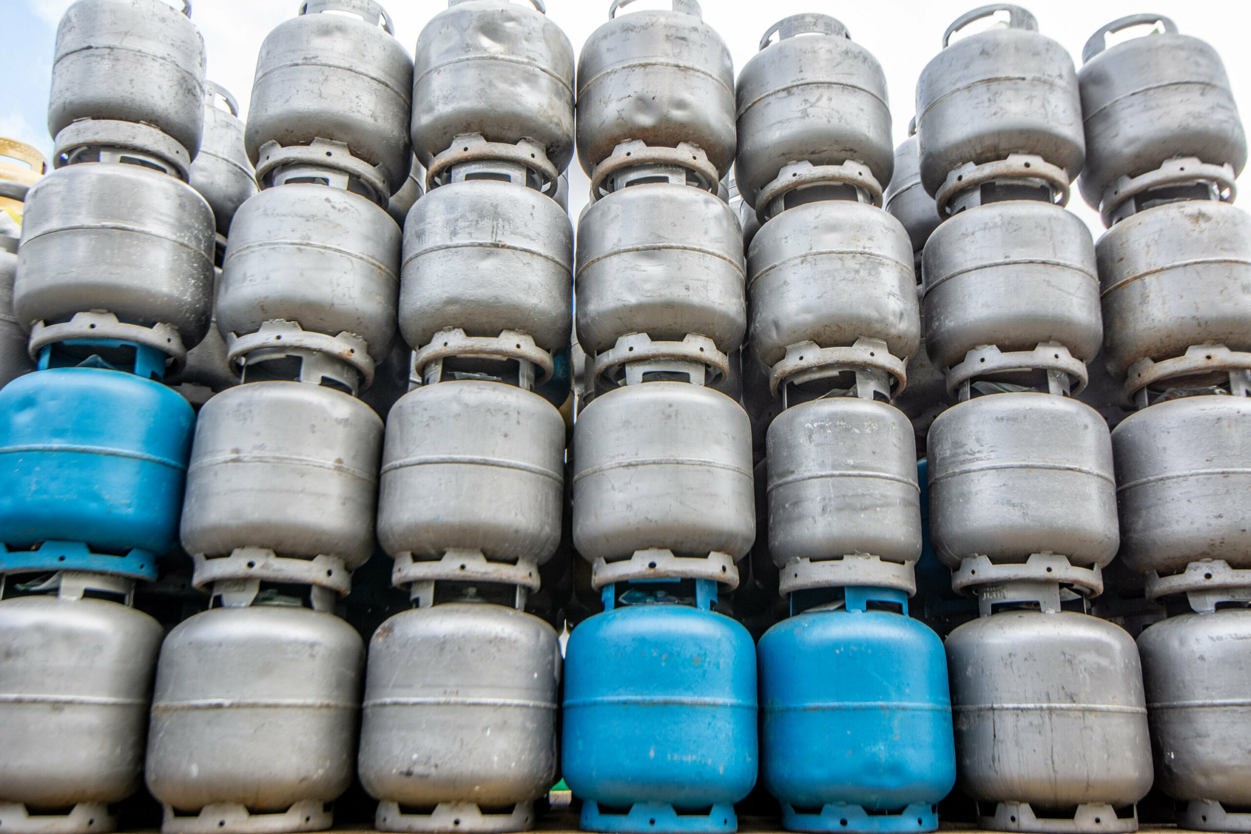 Foto:  Evandro Leal/Agência Enquadrar/Folhapress