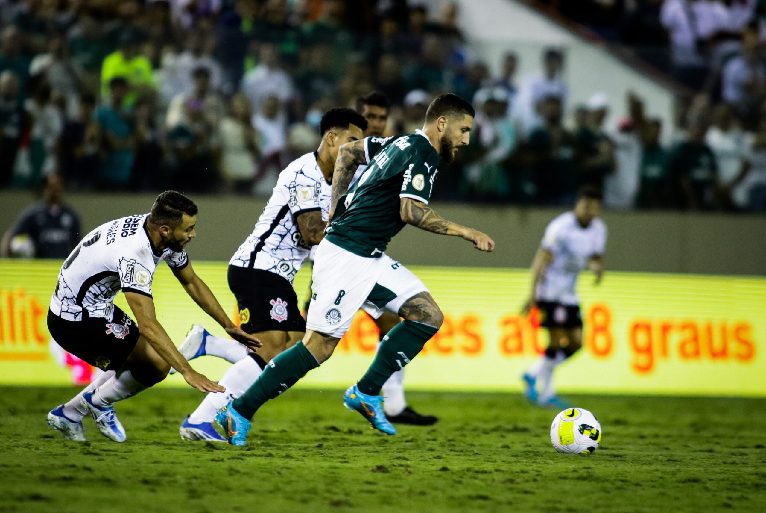 Foto: Aloisio Mauricio /Fotoarena/Folhapress