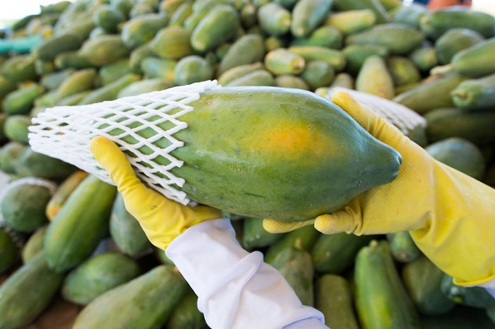 Foto: Wenderson Araujo / CNA