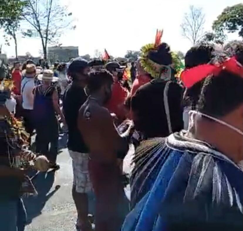 Foto: Divulgação/Instituto Juma