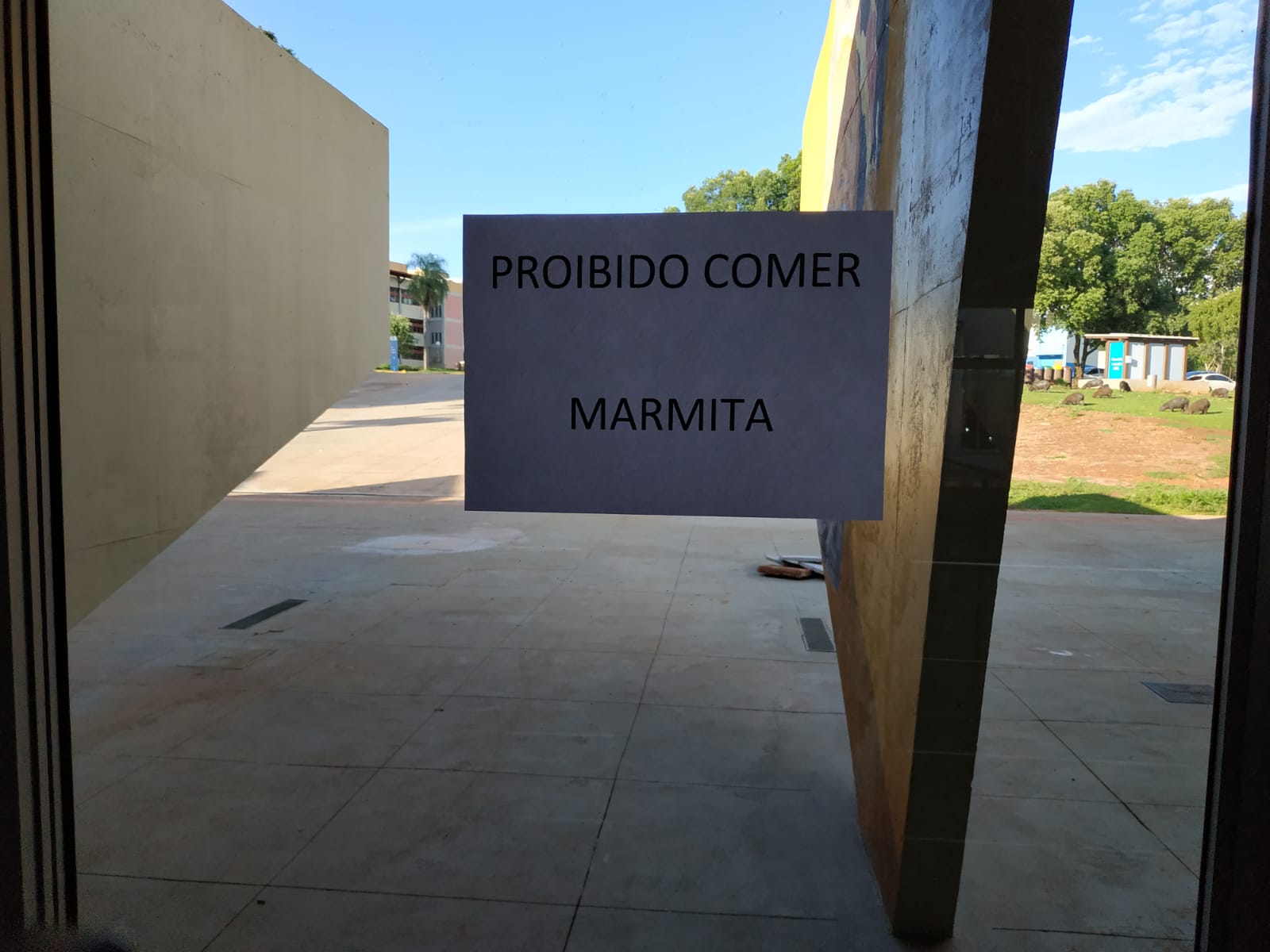 Foto: Berlim Calderão/ O Estado Online