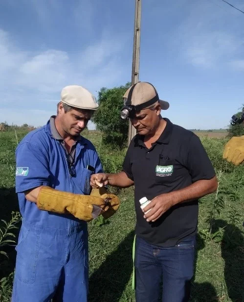 Foto: Divulgação Iagro