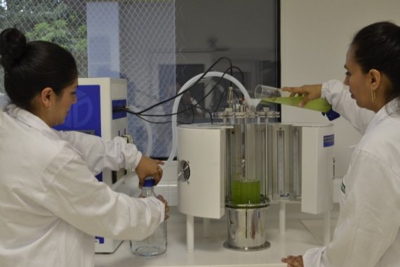 A pesquisa vai receber mais de R$140 mil para ser desenvolvida.
Foto: Divulgação