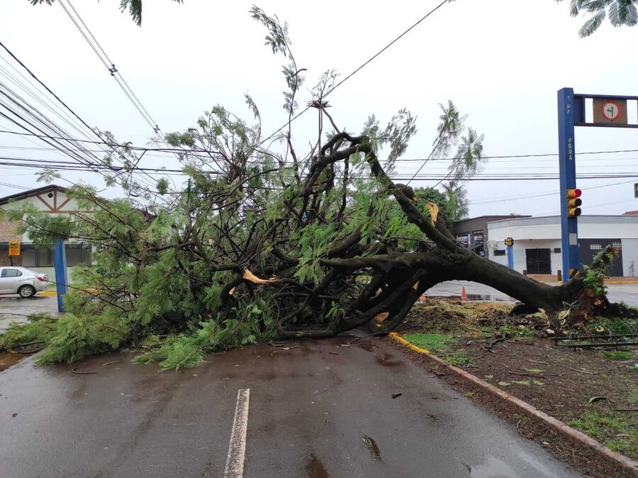 Hédio Fazan/Dourados News