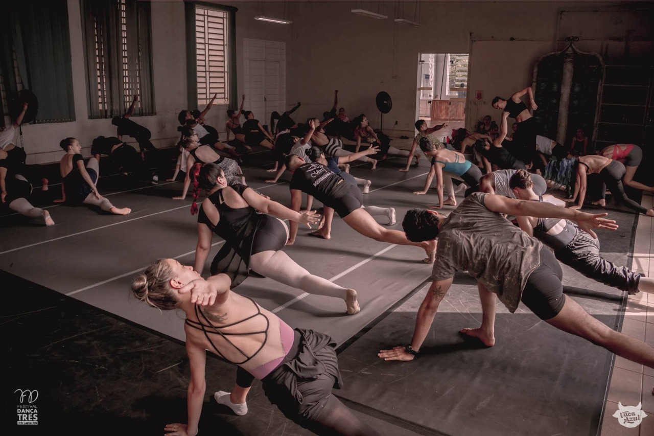 Foto: Reprodução/ Vaca Azul