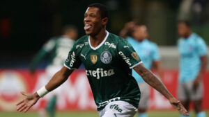 Palmeiras, Libertadores