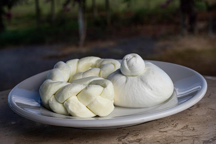 Foto: Reprodução/ Famasul