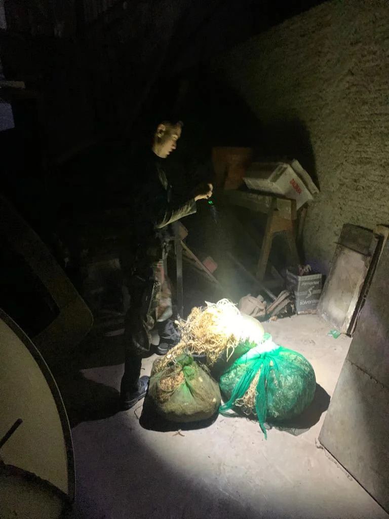 Foto: Divulgação/PMMS