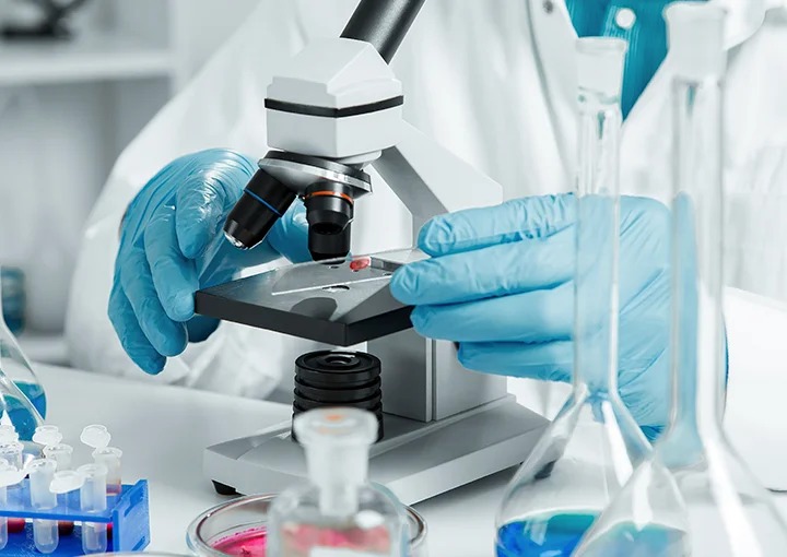 WhatsApp Image 2022-05-30 at 09.35.15