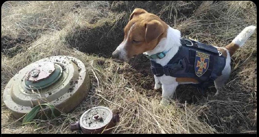Foto: Reprodução de Redes Sociais/Twitter