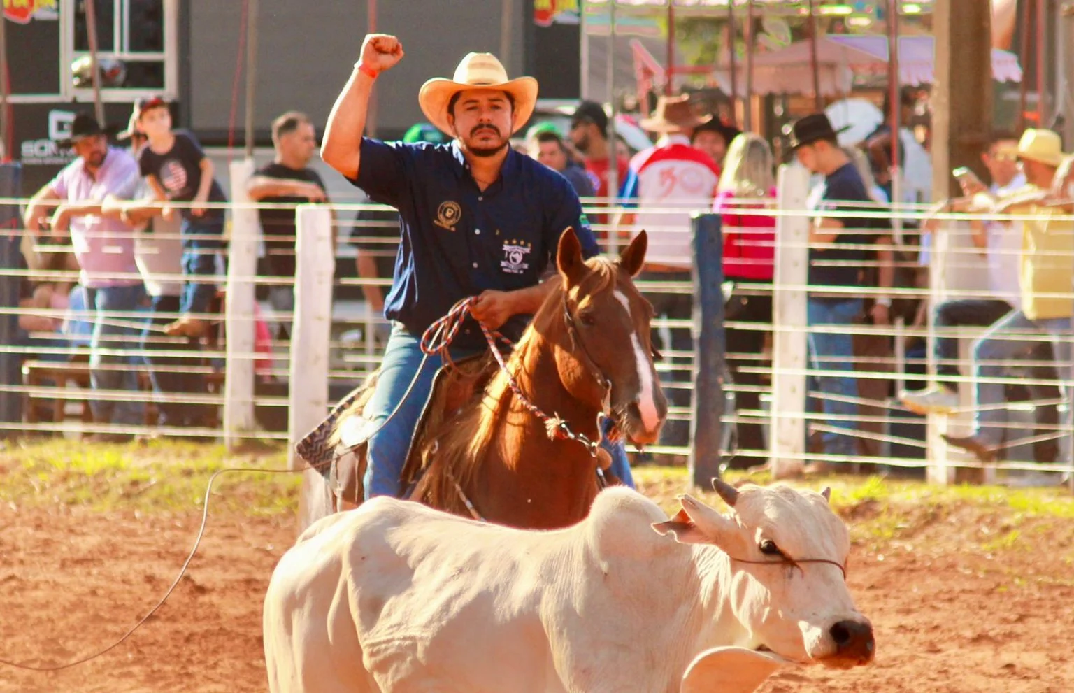 Competições equestres estão no calendário. [Foto: Divulgação/Fundesporte]