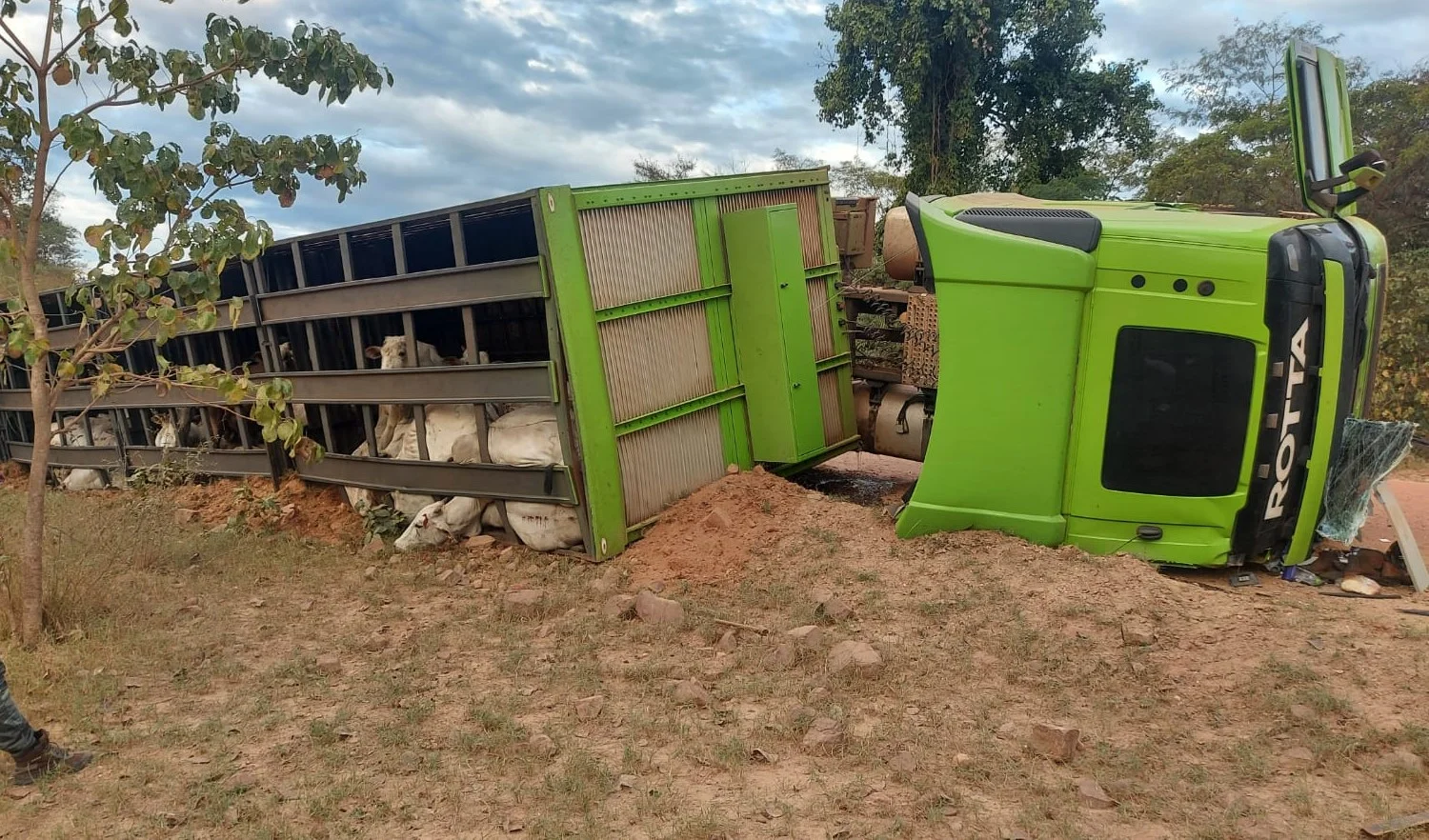 Foto: Divulgação/PMMS