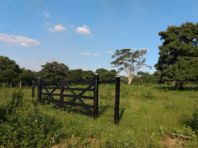 Foto: Imagem ilustrativa/Reprodução