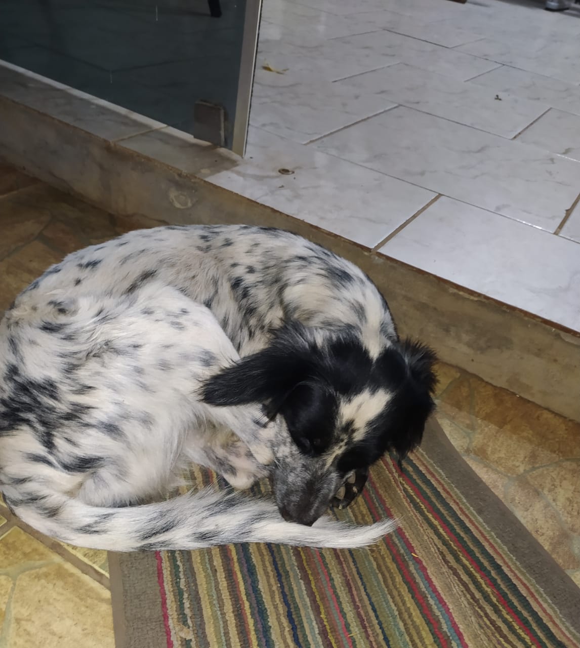 Foto: Divulgação/PMA