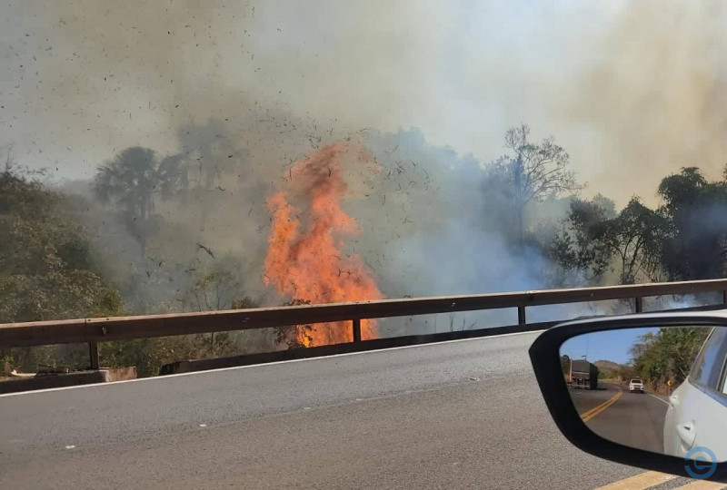 Foto: Reprodução/EMS