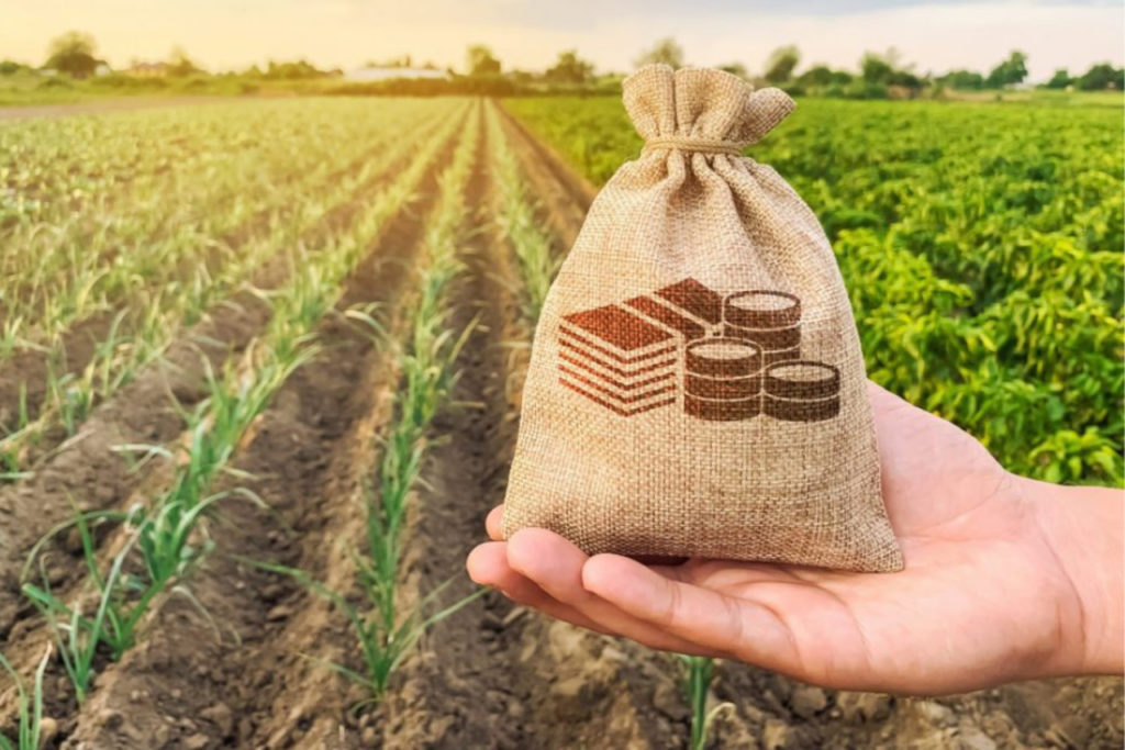 Blog-Assinei-CPR-Cedula-Produto-Rural-1024x683