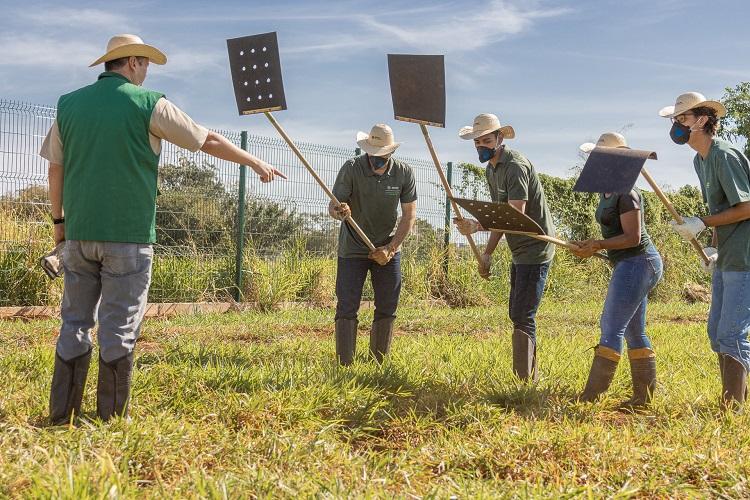 Foto: Divulgação/ SENAR MS
