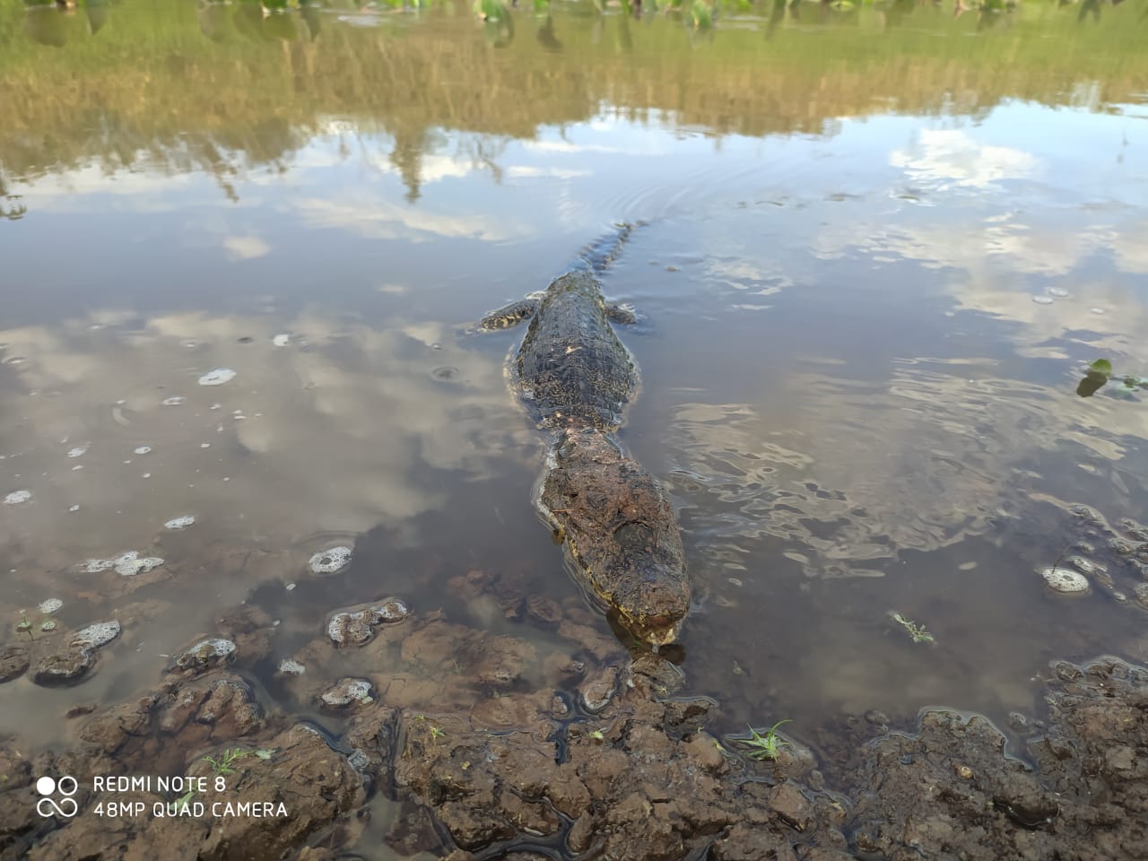 Foto: divulgação/PMA