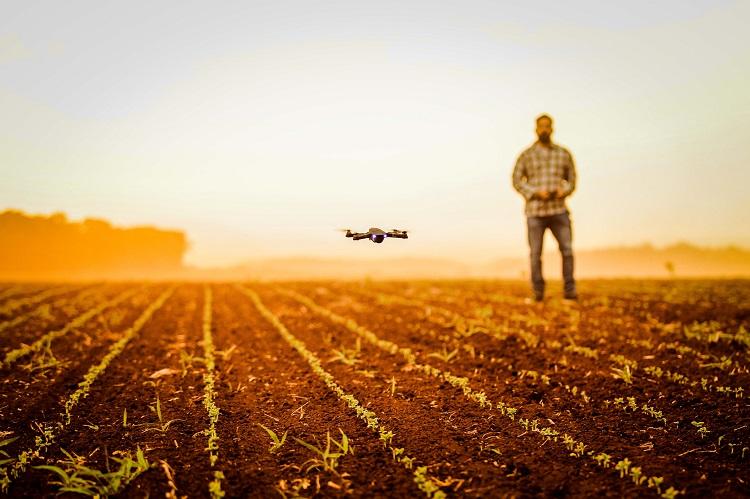 Foto: Divulgação/ Marco Miatelo