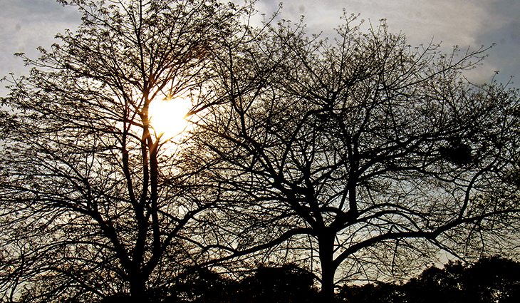 Foto: Chico Ribeiro/Portal MS