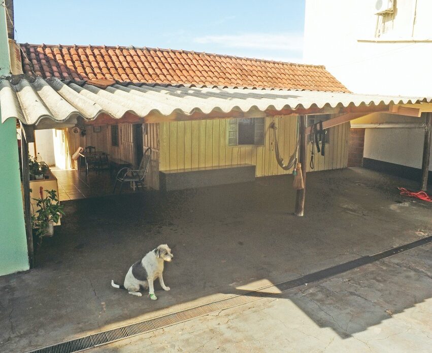 Foto: Nilson Figueiredo