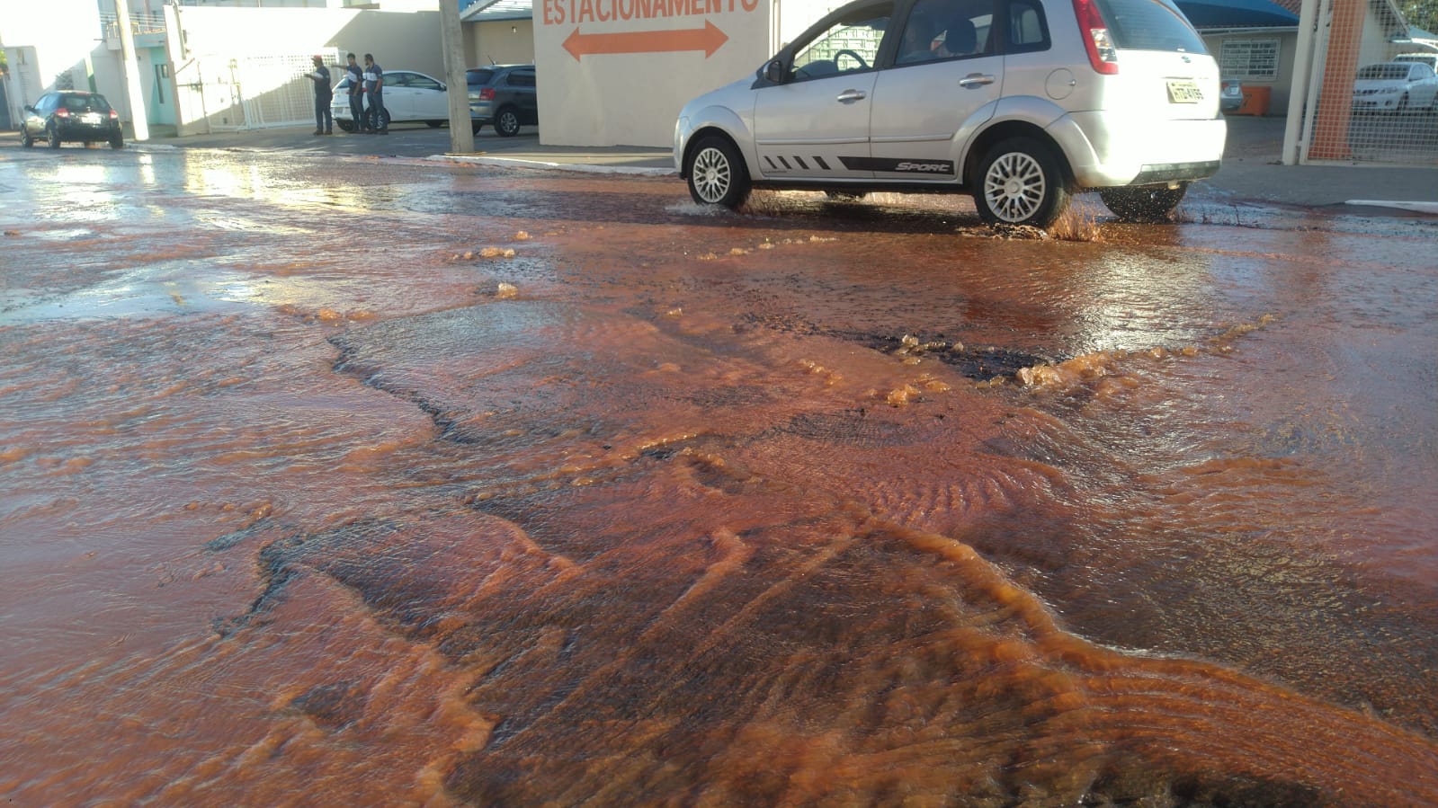 Foto: Fernanda Yafusso