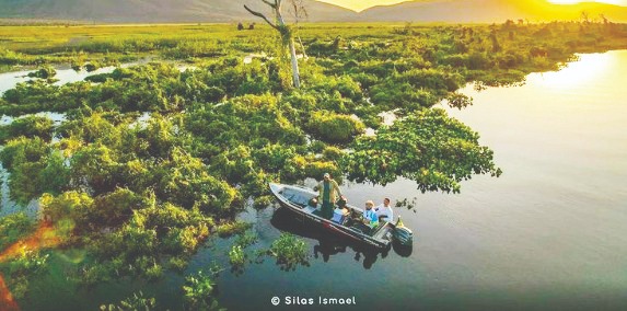 WhatsApp Image 2022-07-13 at 12.33.14