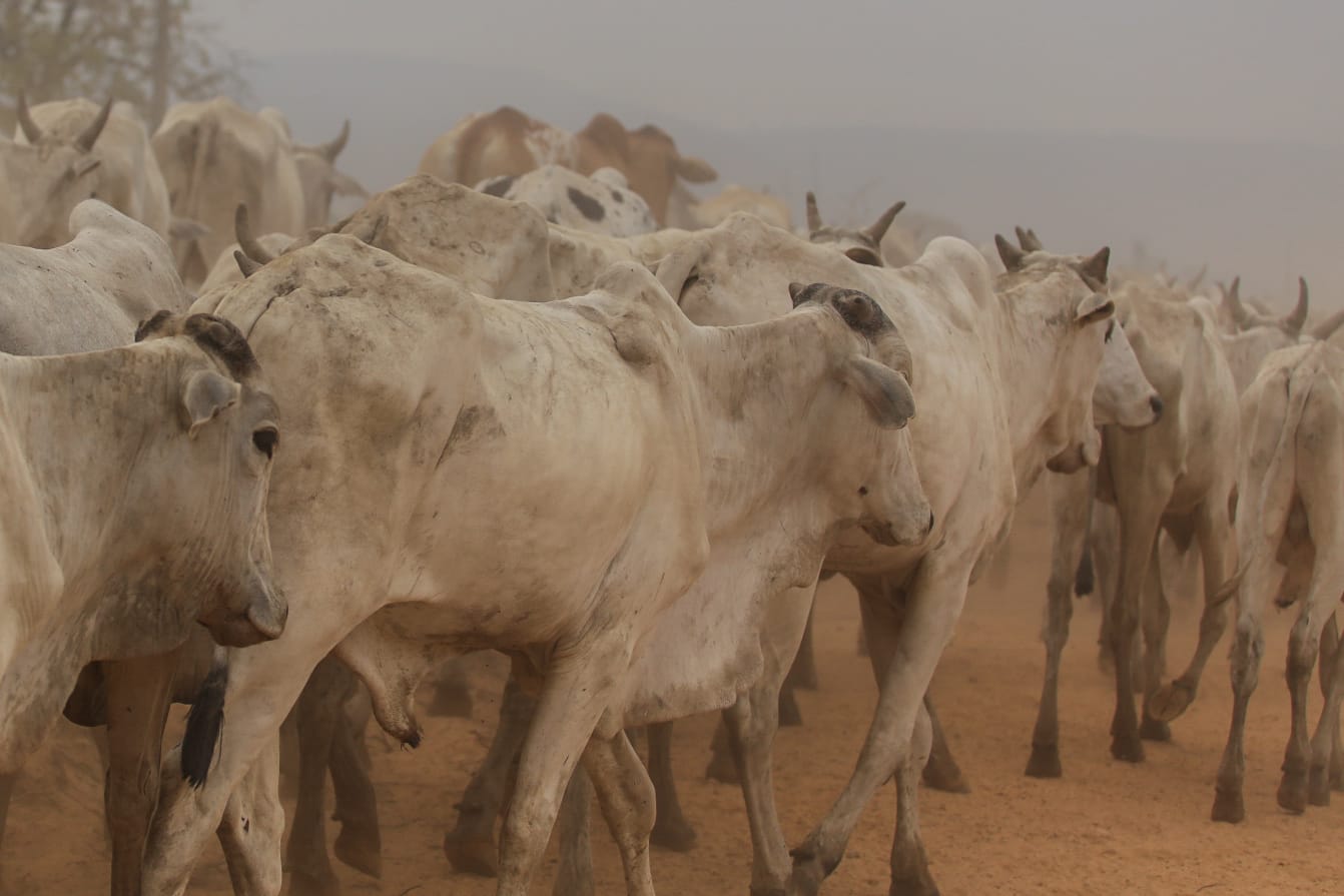 Foto: Arquivo/Marcos Maluf