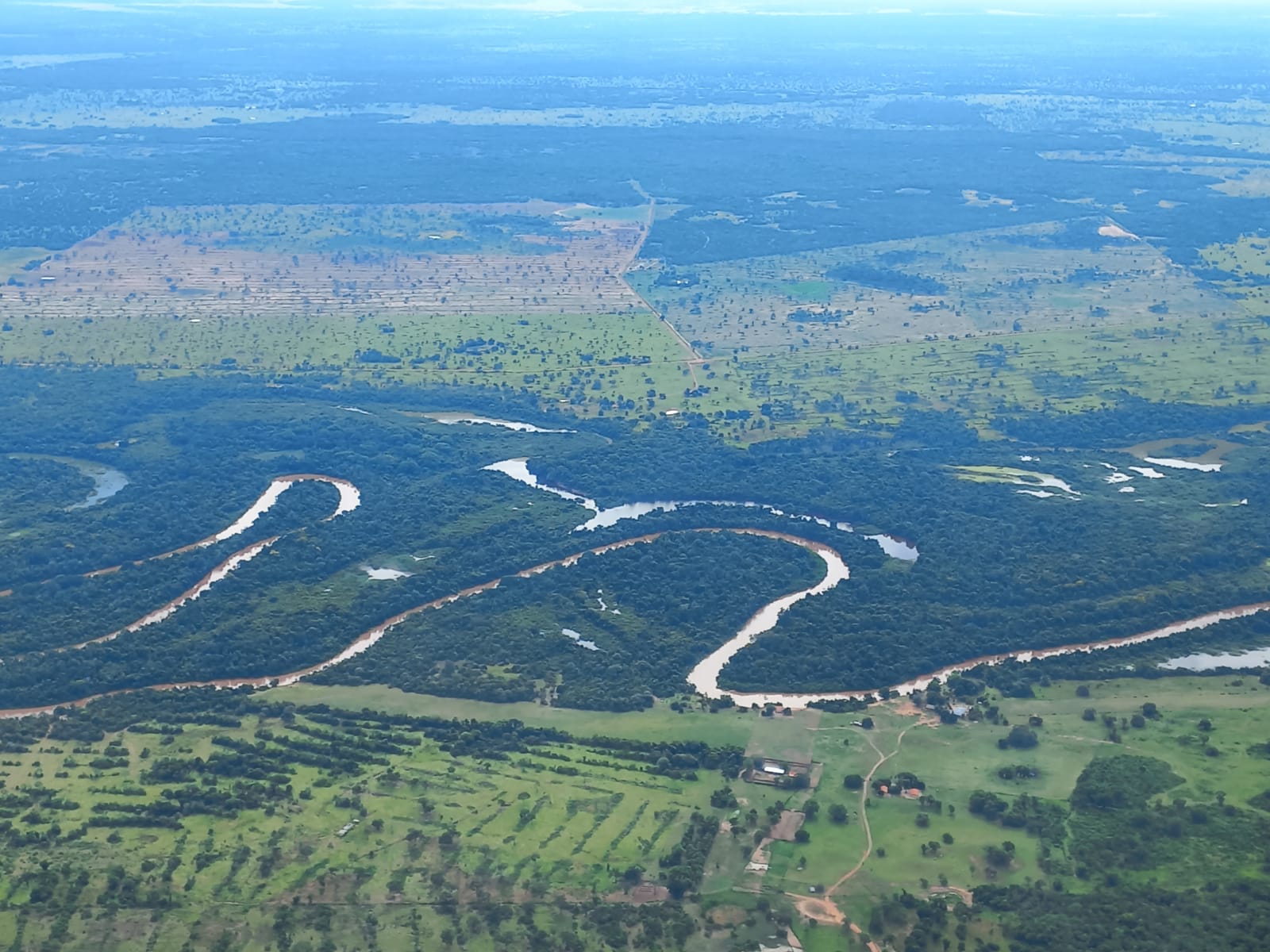 Foto: Divulgação/SOS Pantanal
