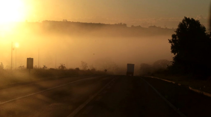 Foto: Agraer MS/Reprodução
