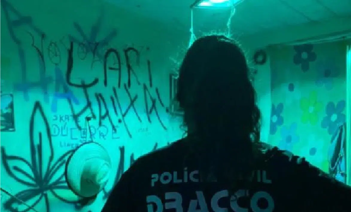 Foto: Divulgação/ MS em Foco