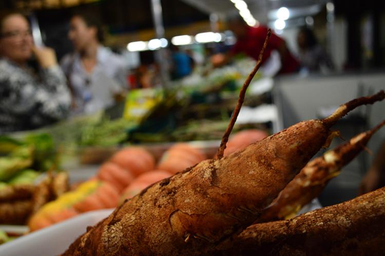 Foto: Divulgação/ Famasul