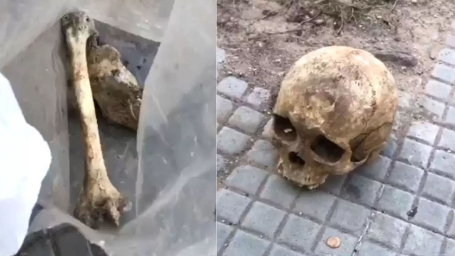 Reprodução/ Youtube