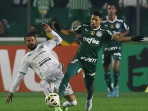 Palmeiras