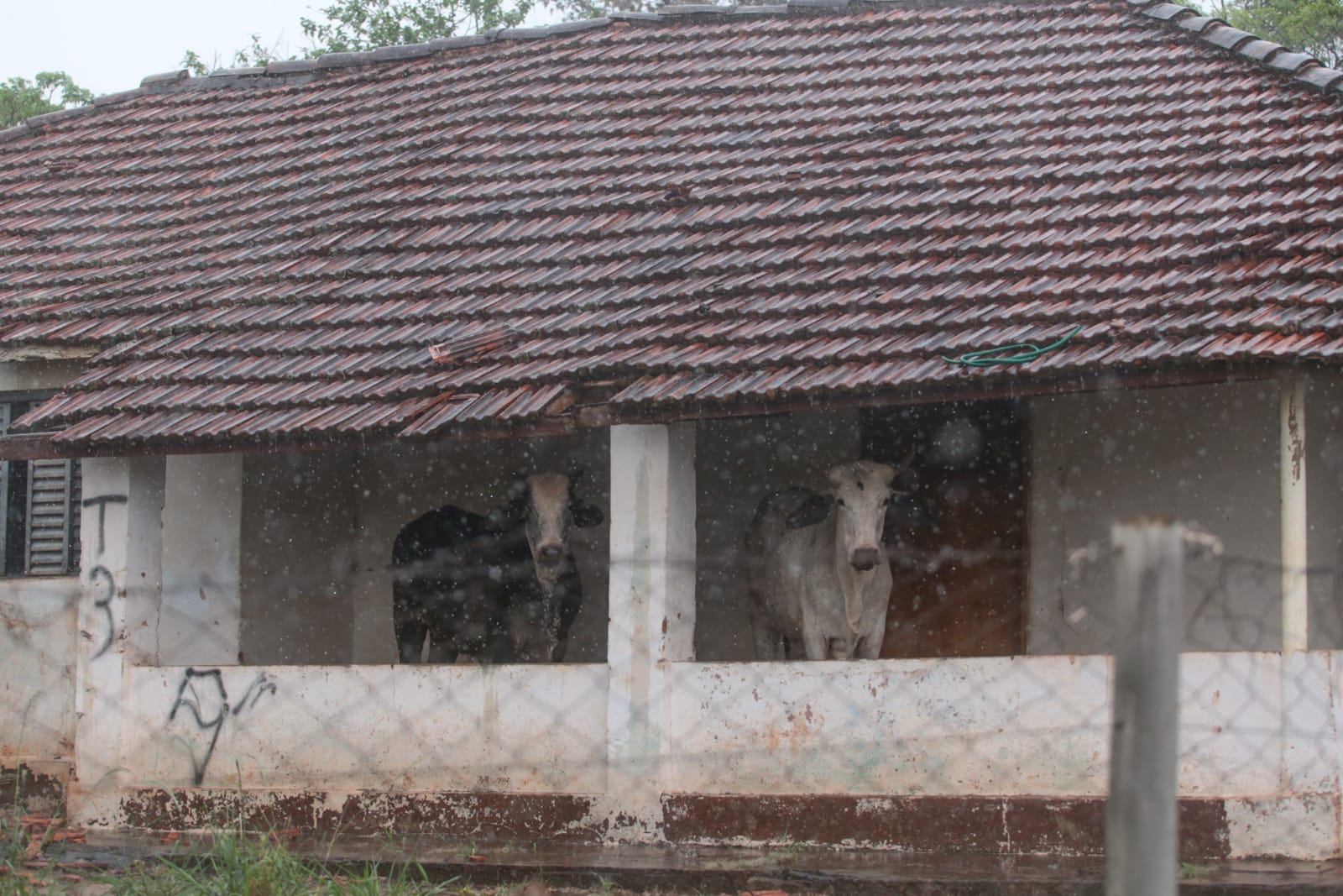 Foto: Marcos Maluf/ O Estado Online