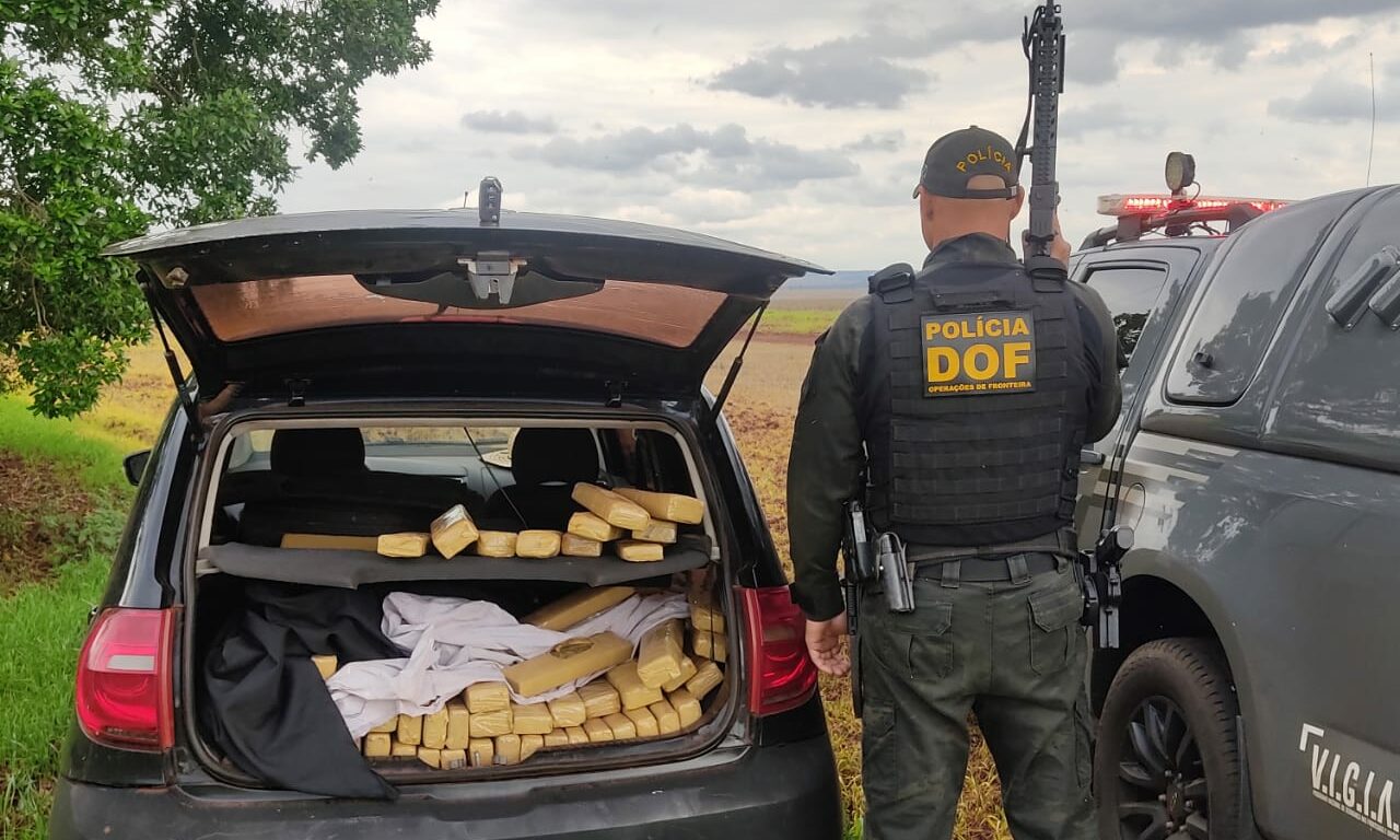 Foto: Divulgação/DOF