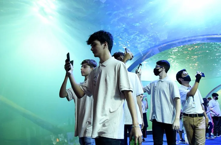 Foto: Arquivo/Portal MS