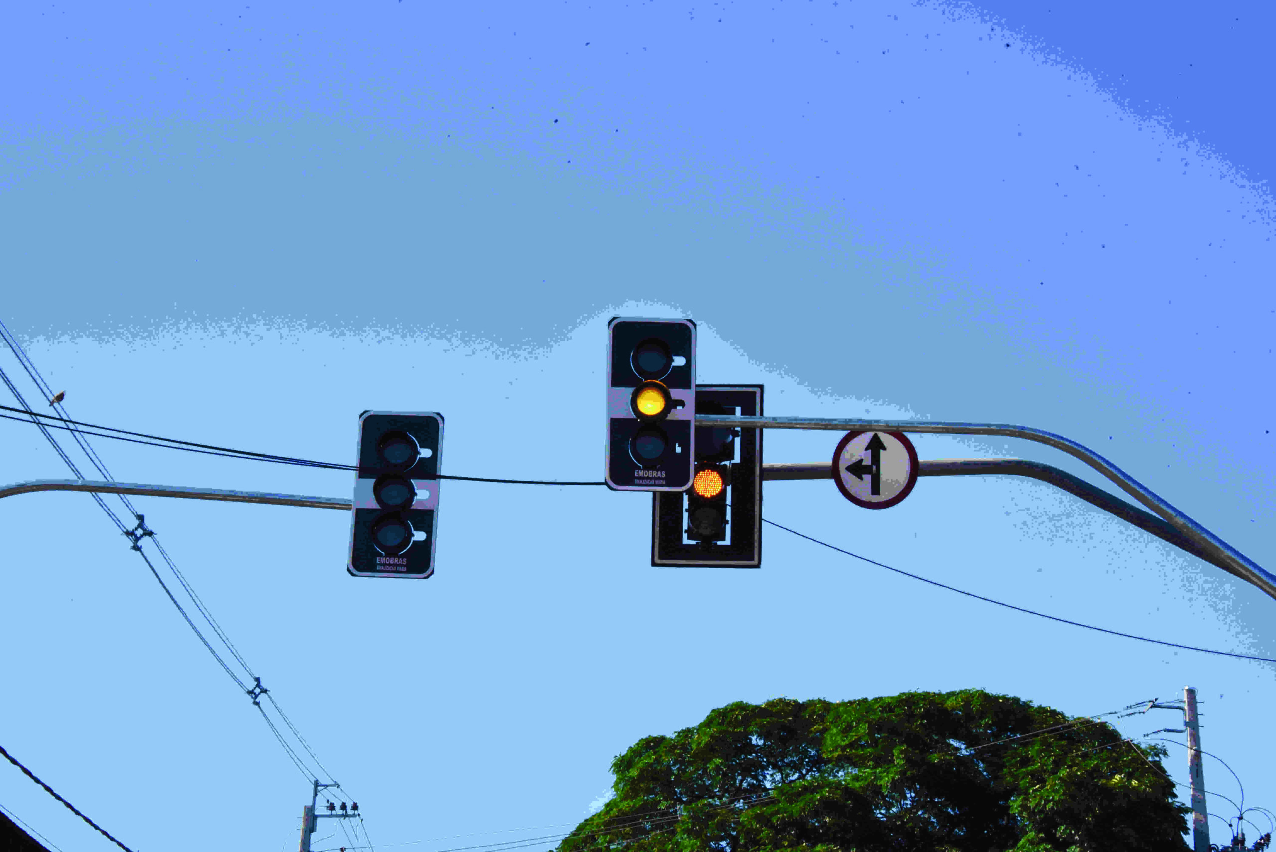 Caixa de marimbondos emperrou funcionamento dos semáforos da rua